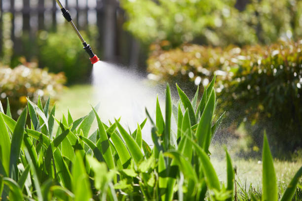 Tamper-Resistant Bait Stations for Rodents in Hartsdale