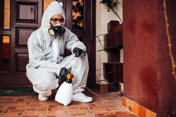 Attic and Crawl Space Rodent Treatment in Hartsdale
