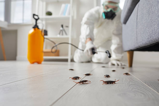 Commercial Rodent Management in Hartsdale